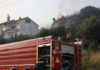 Φωτιά τώρα: Οριοθετήθηκε η πυρκαγιά στη Σαλαμίνα