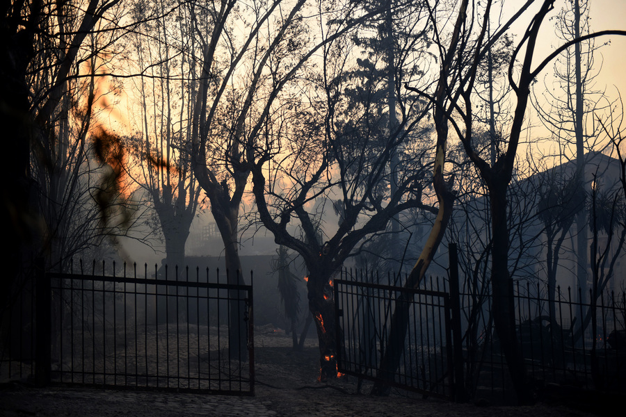 Φωτιά στην Αχαΐα - Η επόμενη ημέρα στα καμμένα