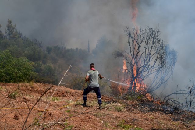 Μαίνεται η πύρινη λαίλαπα στην Ηλεία με τις φλόγες να έχουν περικυκλώσει το χωριό Νεμούτα, όπου καίγονται σπίτια και περιουσίες. Πυροσβέστες, εθελοντές και κάτοικοι προσπαθούν να μην επεκταθεί η φωτιά στο δρυοδάσος της Φολόης, μία προστατευόμενη περιοχή από το Δίκτυο NATURA 2000. Σάββατο 7 Αυγούστου 2021  (EUROKINISSI/ ILIALIVE.GR ΓΙΑΝΝΗΣ ΣΠΥΡΟΥΝΗΣ)