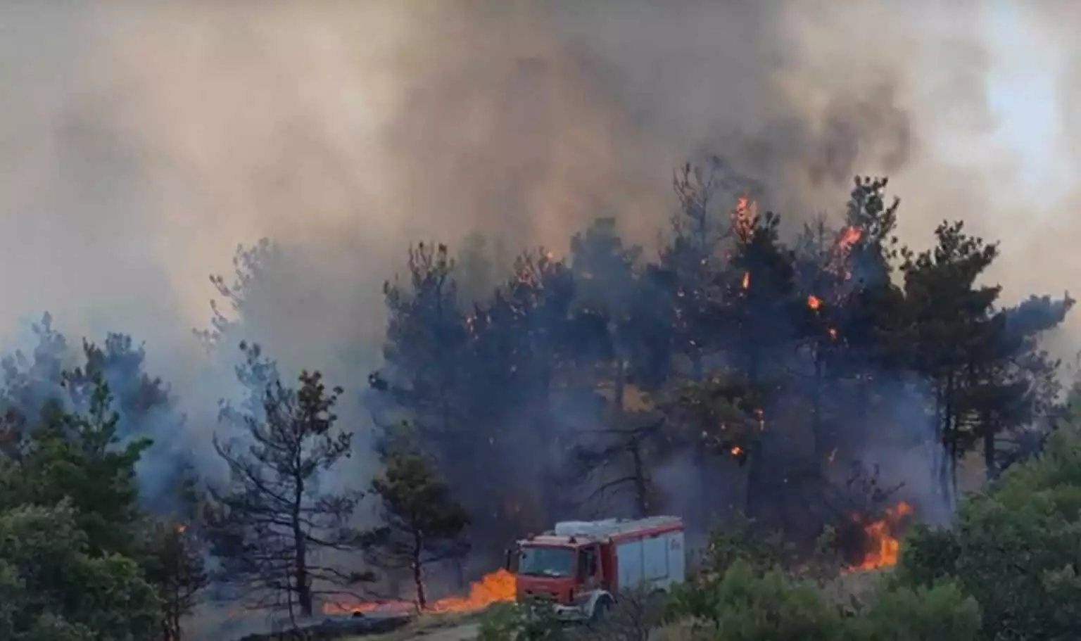 ΦΩΤΙΑ ΤΩΡΑ ΕΒΡΟΣ : Καίει το δάσος της Δαδιάς – Οι φλόγες καίνε τα πάντα