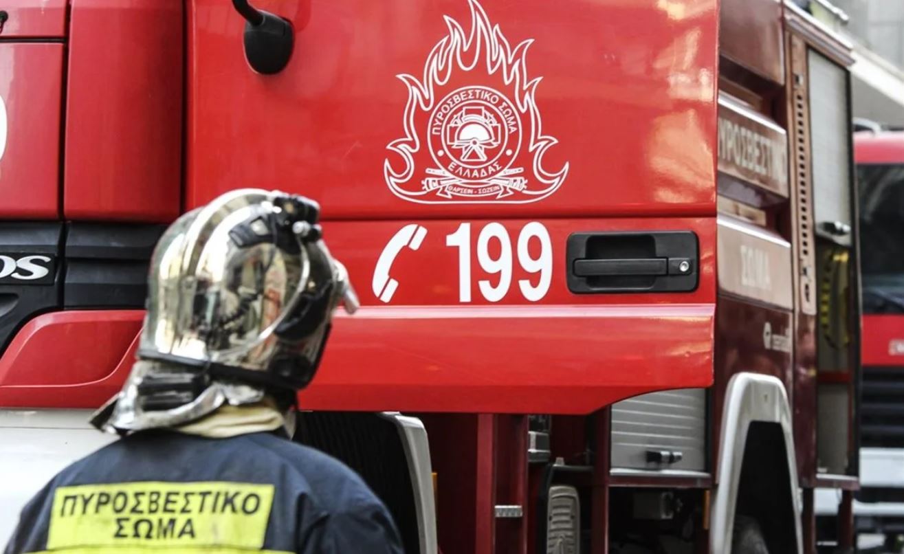 Συναγερμός στην Θεσσαλονίκη: Πουλί προκάλεσε φωτιά στην Πυλαία
