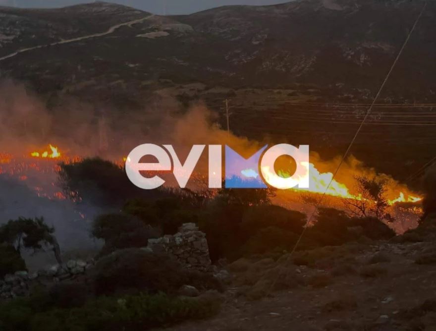 Φωτιά ΤΩΡΑ στην Νότια Εύβοια - Καίγεται η περιοχή των Ραπταιών