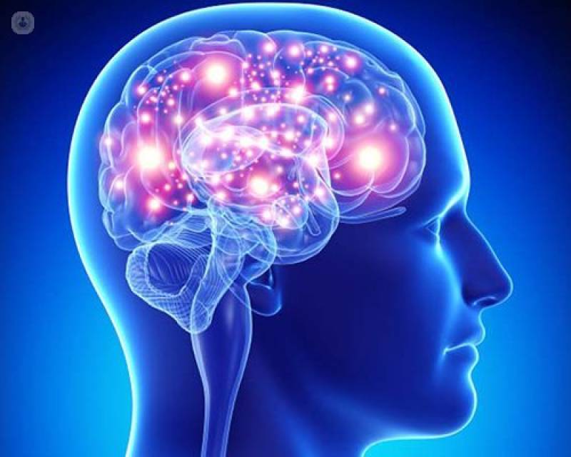 Νευροεπιστήμη και Διατροφή: Ανακαλύφθηκαν ειδικοί νευρώνες του φαγητού στον ανθρώπινο εγκέφαλο