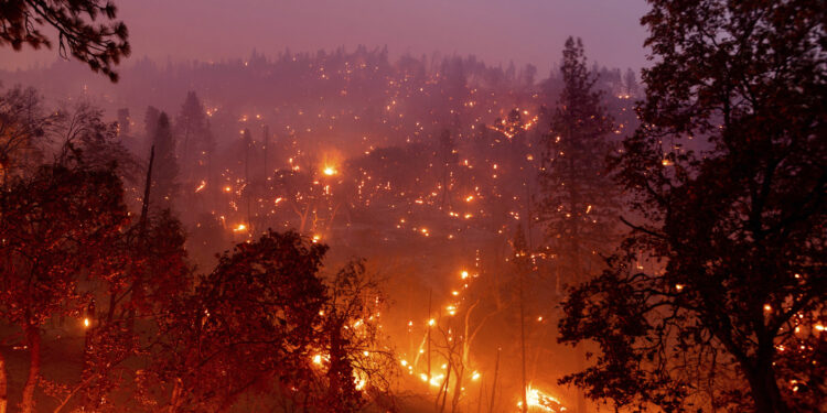 FILE - In this Aug. 25, 2021, file photo the French Fire burns hillsides along Highway 155 in Sequoia National Forest, Calif.  In a season of daunting wildfires and flooding, the Biden administration is taking an initial step to assess how climate change could harm financial markets, planning to launch a 75-day comment period Tuesday, Aug. 31, on how the impacts could reshape the insurance sector. (AP Photo/Noah Berger, File)