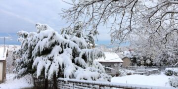 ΧΙΟΝΙΑ ΣΤΟ ΧΟΡΤΙΑΤΗ ΘΕΣΣΑΛΟΝΙΚΗΣ (ΜΟΤΙΟΝΤΕΑΜ/ ΜΠΑΡΜΠΑΡΟΥΣΗΣ ΣΩΤΗΡΗΣ)