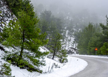 Χιόνια στη Λέσβο, στα χωριά Αγιάσος και Αμπελικό. Ημερομηνία Λήψης 29/12/2024   (ΠΑΝΑΓΙΩΤΗΣ ΜΠΑΛΑΣΚΑΣ/ΕUROKINISSI)