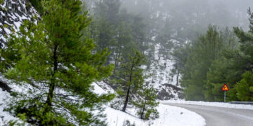 Χιόνια στη Λέσβο, στα χωριά Αγιάσος και Αμπελικό. Ημερομηνία Λήψης 29/12/2024   (ΠΑΝΑΓΙΩΤΗΣ ΜΠΑΛΑΣΚΑΣ/ΕUROKINISSI)