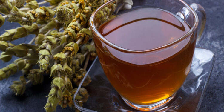 Mountain tea. Sideritis herbal tea and flowers on black slate stone selective focus